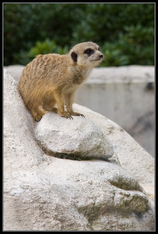 IMG_2610 kopie.jpg