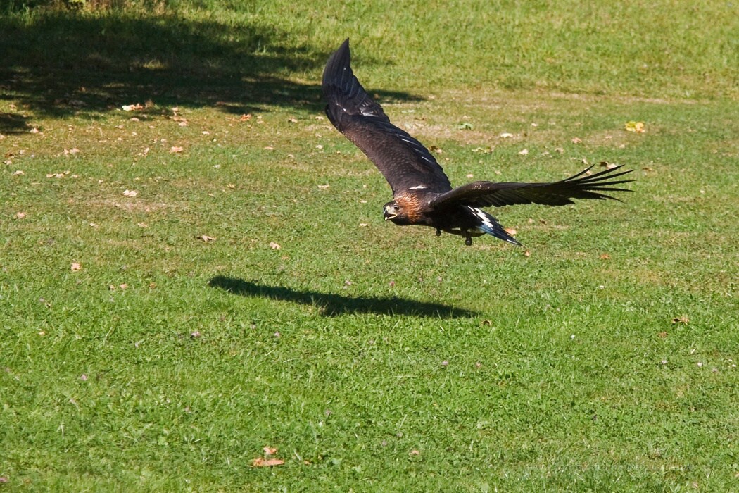 IMG_5855 kopie